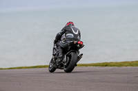 PJ-Motorsport-2019;anglesey-no-limits-trackday;anglesey-photographs;anglesey-trackday-photographs;enduro-digital-images;event-digital-images;eventdigitalimages;no-limits-trackdays;peter-wileman-photography;racing-digital-images;trac-mon;trackday-digital-images;trackday-photos;ty-croes